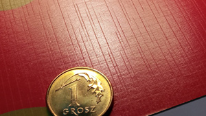 Folia strukturalna LEN 01